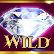 Fortune & Finery: Wild