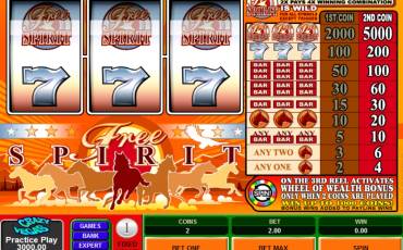 Free Spirit Wheel of Wealth slot online