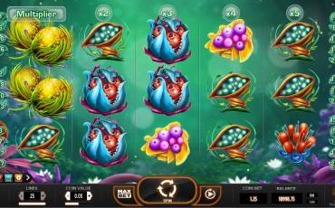 Fruitoids slot online