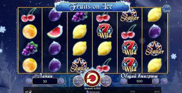 Fruits on Ice: Interface