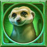 Gator Gold Gigablox: Meerkat