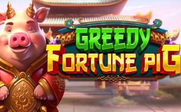 Greedy Fortune Pig