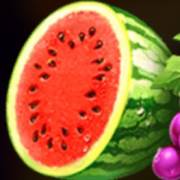 Hot Coins Hold and Win: Watermelon