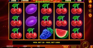 Hot Fruits 20 Cash Spins: Slot machine