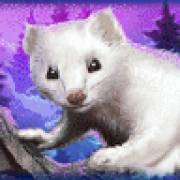 Icy Wilds: Arctic fox