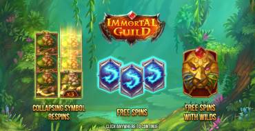 Immortal Guild: Topic