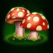 Irish Coins: Fly agaric