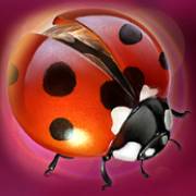 Lucky Lands: Ladybug