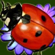 Lucky Wood: Ladybug