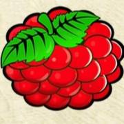 Magic Fruits 81: Raspberry