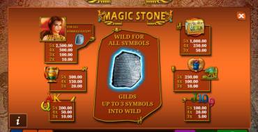 Magic Stone: 