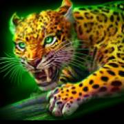 Mayan Blaze: Leopard