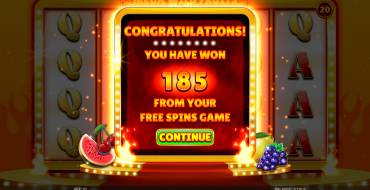 Mega Wild Fruits – On Fire: Winnings