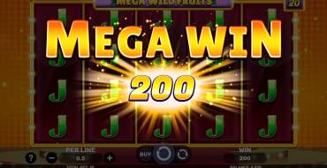 Mega Wild Fruits: Winnings