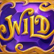 Merlin’s Magic Mirror: Wild