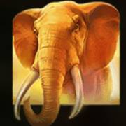 Mighty Africa: Elephant