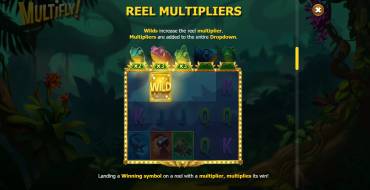 Multifly!: Multipliers