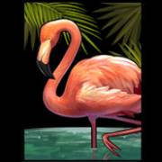 Narcos: Flamingo