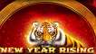 Play New Year Rising slot