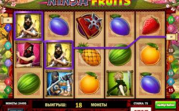 Ninja Fruits slot online