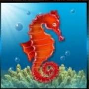 Ocean Tale: Sea Horse