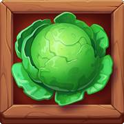 Oink Farm: Cabbage