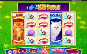 OMG! Kittens slot online