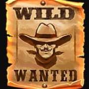 Outlaws: Wild