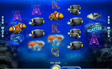 Pacific Paradise slot online