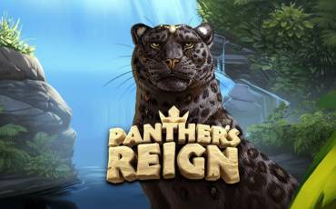 Panther's Reign slot online