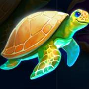 Pearl Diver 2: Treasure Chest: Turtle