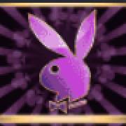 Playboy Gold: symbol