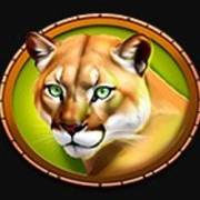 Raging Riches: Tiger