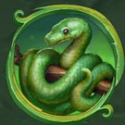 Rainforest Magic: Snake