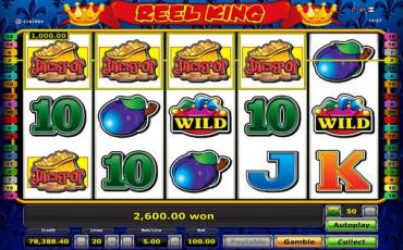 Reel King slot online