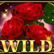 Retro Love: Wild