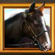 Revolution Patriot’s Fortune: Horse