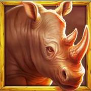 Rhino Hold and Win: Rhinoceros