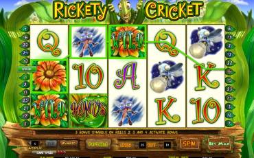 Rickety Cricket slot online