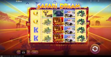 Safari Dream: Interface