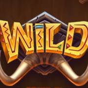 Safari of Wealth: Wild