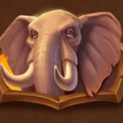 Safari of Wealth: Elephant