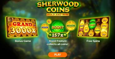 Sherwood Coins: Hold and Win: Unique features