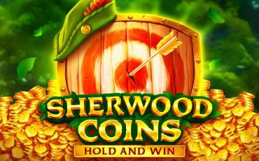 Sherwood Coins: Hold and Win slot online