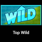 Sidewinder: Top Wild