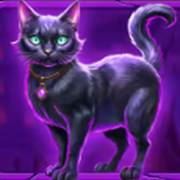 Spooktacular Bonanza: Cat