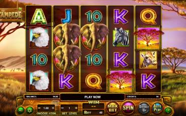 Stampede slot online