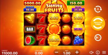 Sunny Fruits 2: Hold and Win: Slot machine