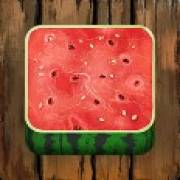 Tiki Runner 2 - Doublemax: Watermelon