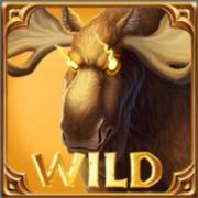 Untamed Wilds: Moose